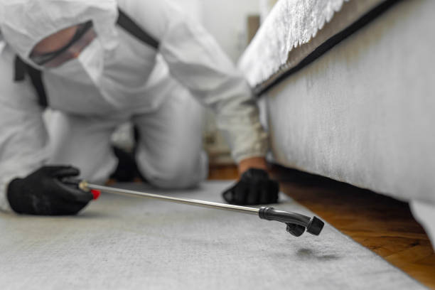 Professional Termite Control technician working in Odessa, MO