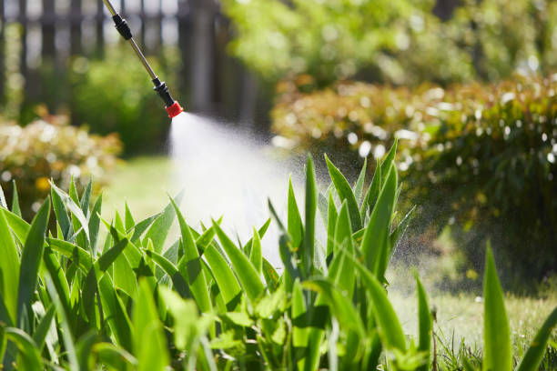 24/7 Emergency Termite Control experts in Odessa, MO