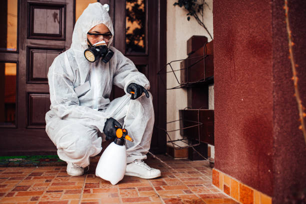 Reliable Termite Control contractor in Odessa, MO by Nex Pest Control